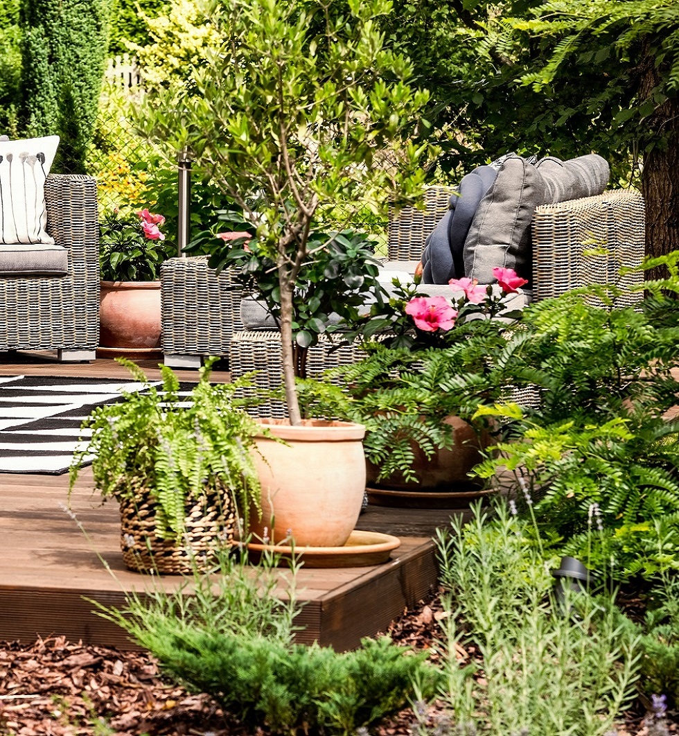 embellissement_du_jardin_et_des_exterieurs