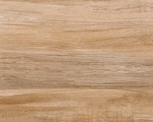 Essence de bois chêne