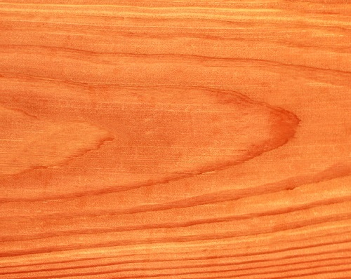 Essence de bois douglas