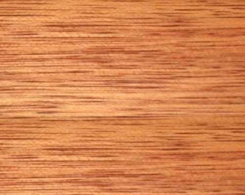 essence de bois Meranti