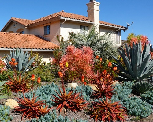 Jardin sec