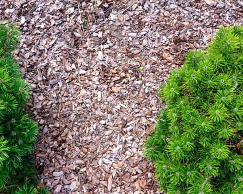 Paillage pour le jardin