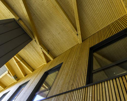 Le bois de construction Le bois de construction