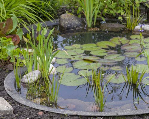 Comment installer un bassin de jardin ? Comment installer un bassin de jardin ?