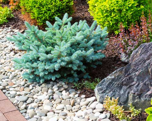 Comment choisir des galets décoratifs pour le jardin ? Comment choisir des galets décoratifs pour le jardin ?