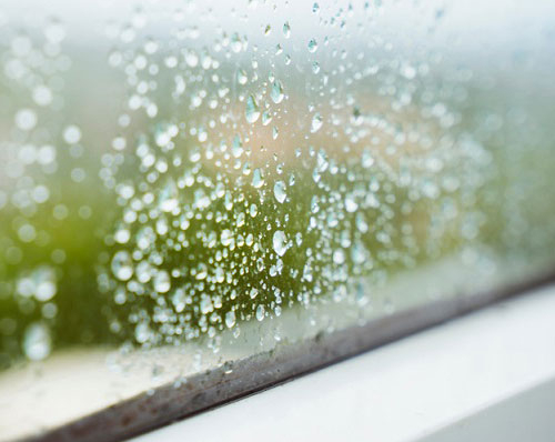 Humidité dans la maison : causes et traitement Humidité dans la maison : causes et traitement
