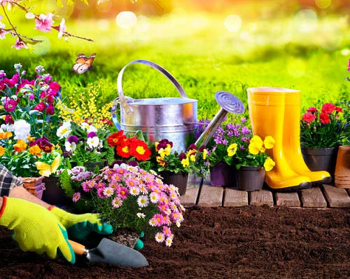 Quels sont les outils de jardin à avoir chez soi ? Quels sont les outils de jardin à avoir chez soi ?