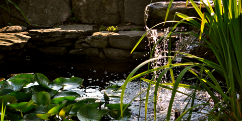 Bassin avec cascade