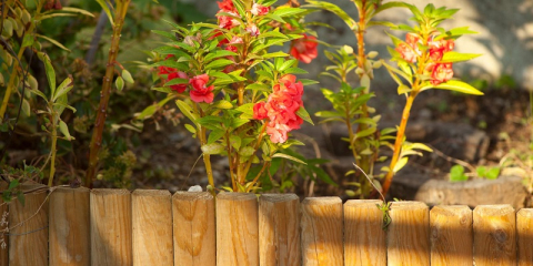 Bordure de jardin en bois