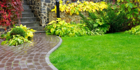 Allée de jardin avec bordures