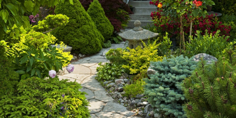 Allée piétonne en pierre dans le jardin