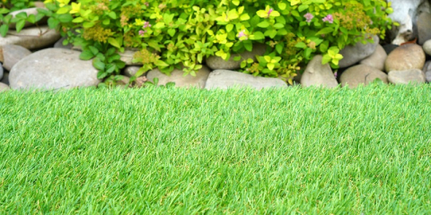 Beau gazon synthétique dans le jardin