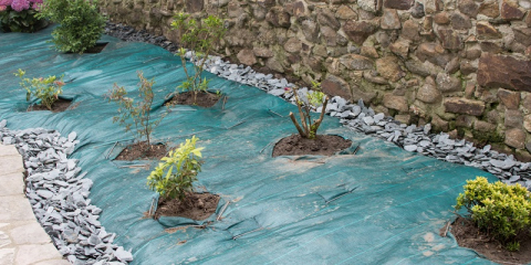 Paillage en toile tissée posé sur un massif