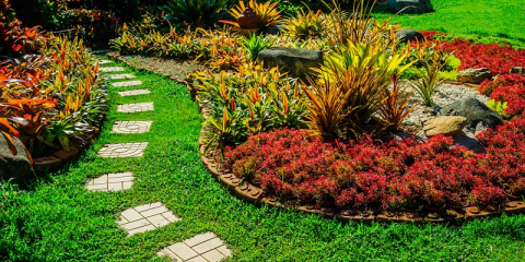 Jardin ultra moderne avec du gravier décoratif, galets et plantes