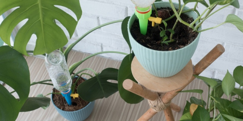 Bouteilles d'arrosage dans des pots à fleurs