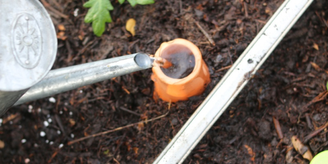 Olla d'arrosage dans le jardin sec